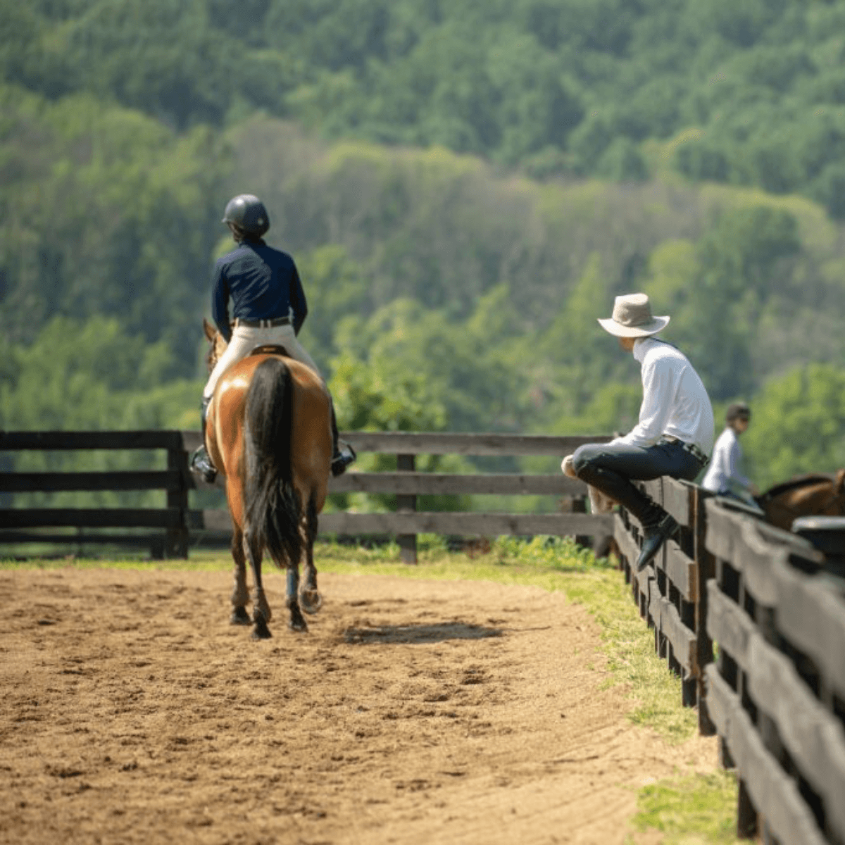 East Valley Feed and Tack